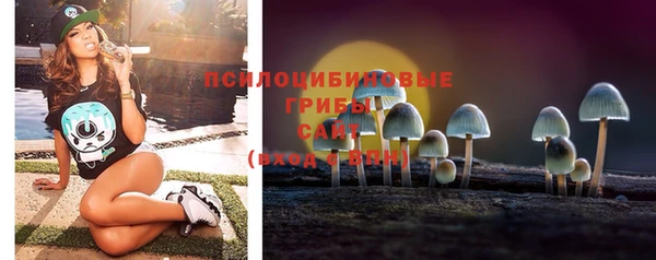 трава Абаза