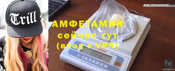 трава Абаза