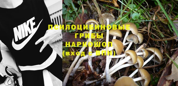 гидропоника Наволоки
